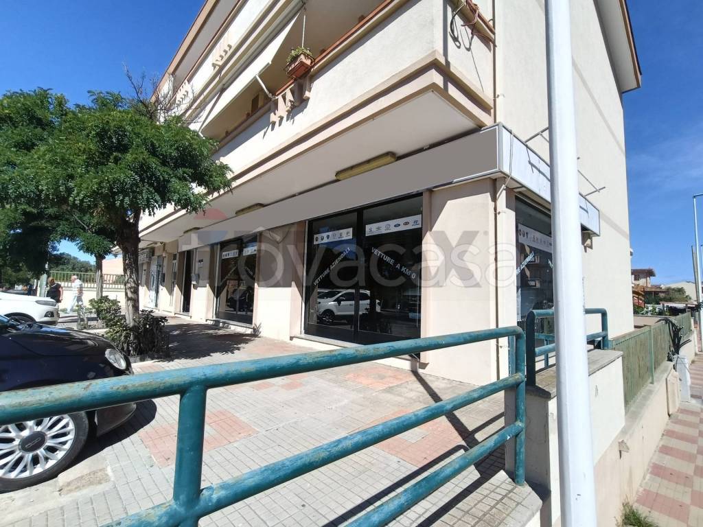 immagine annuncio 2 di 14