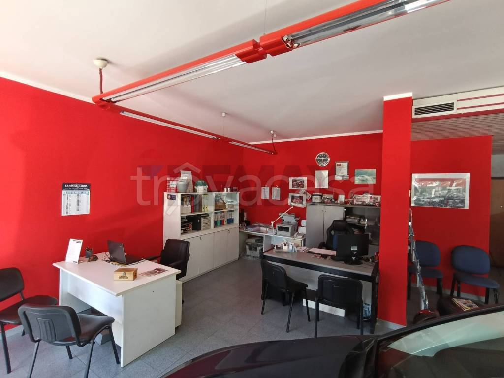 immagine annuncio 3 di 14