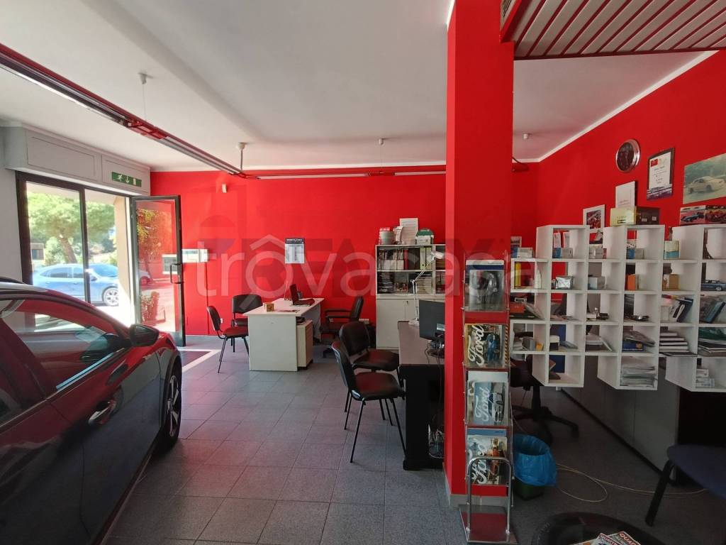 immagine annuncio 4 di 14