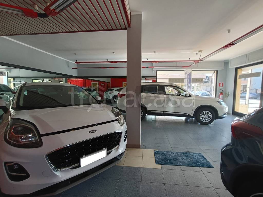 immagine annuncio 5 di 14