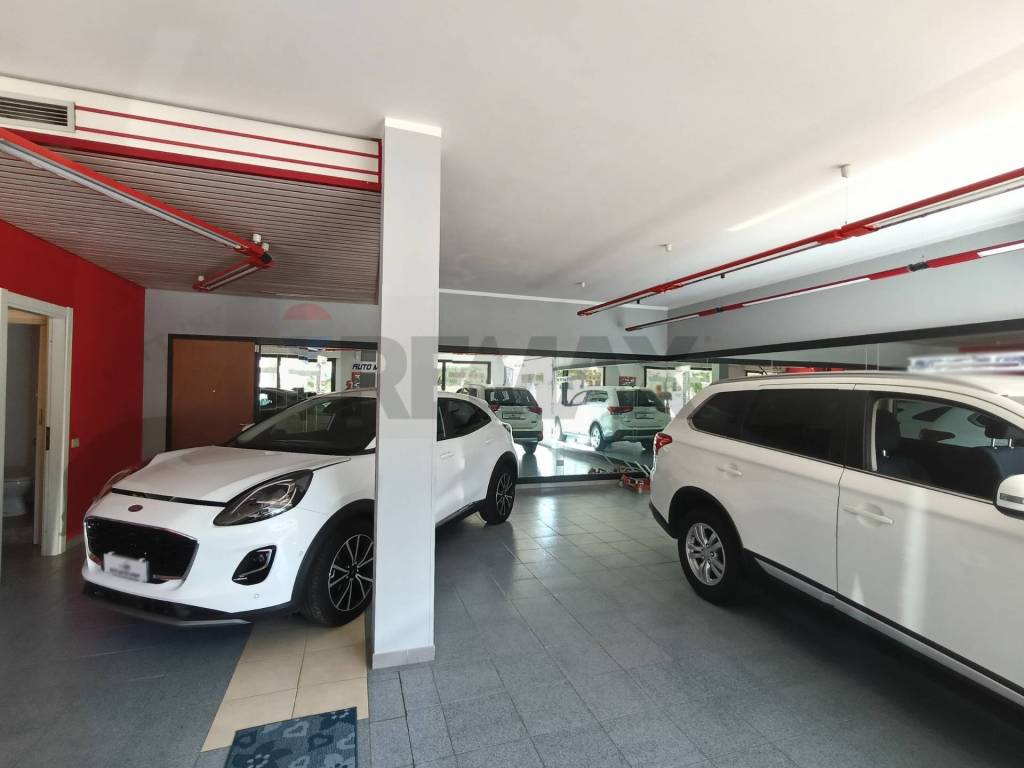 immagine annuncio 6 di 14