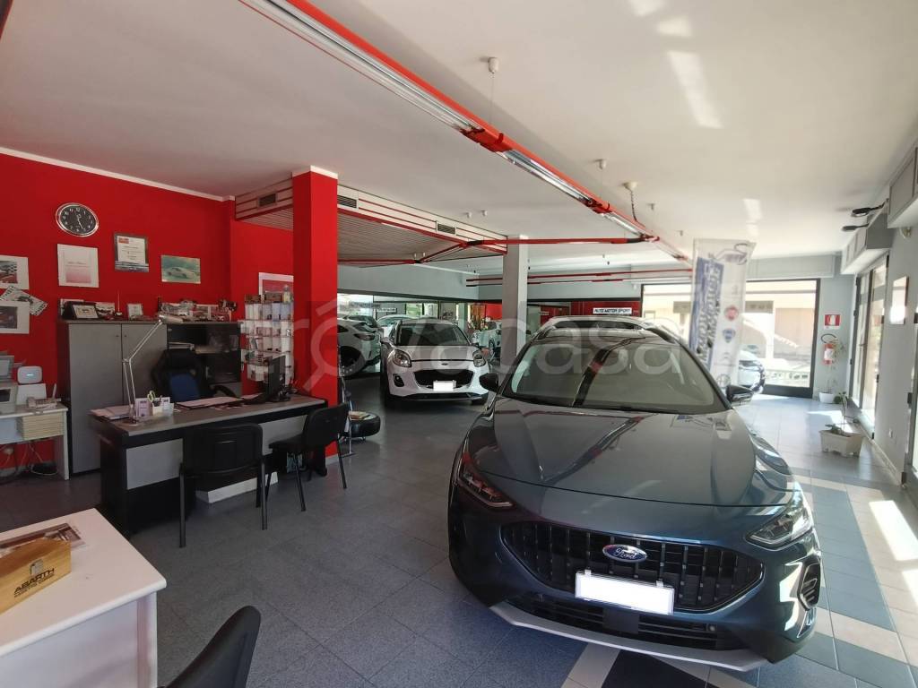 immagine annuncio 7 di 14