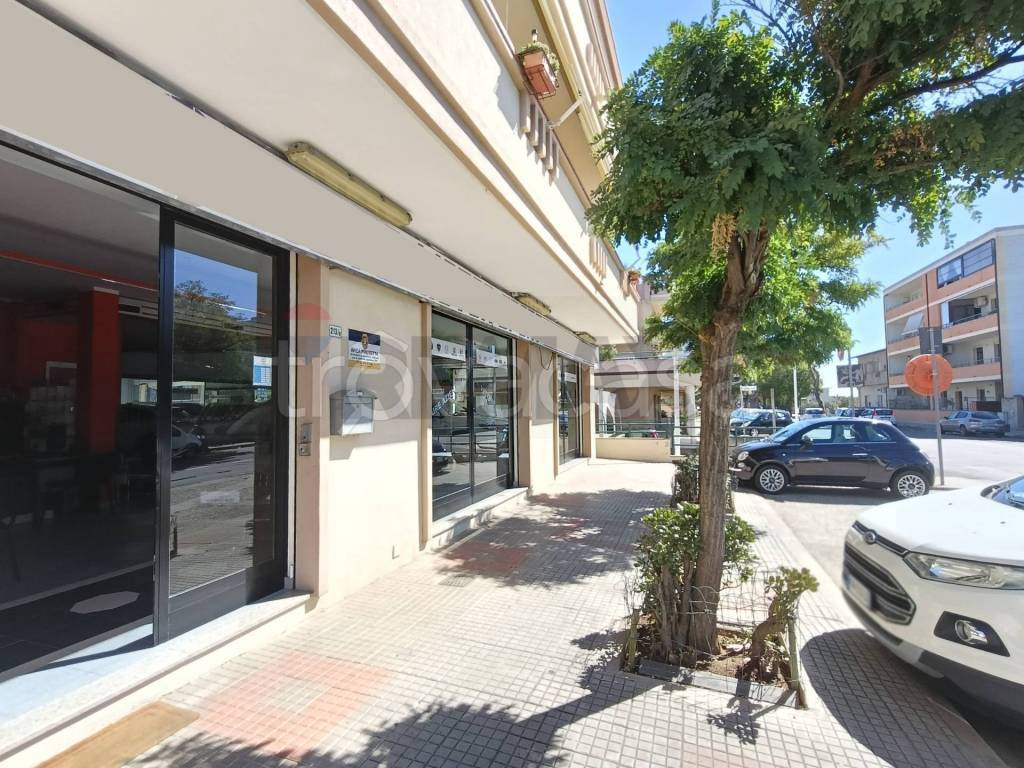 immagine annuncio 11 di 14