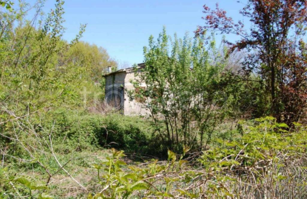 immagine annuncio 8 di 12