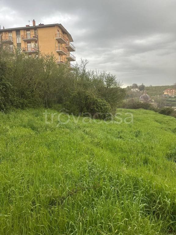 immagine annuncio 2 di 7