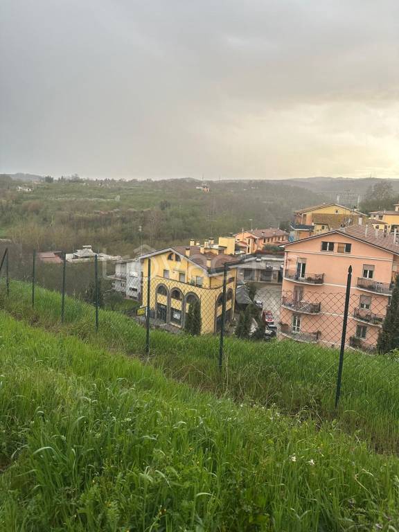 immagine annuncio 3 di 7