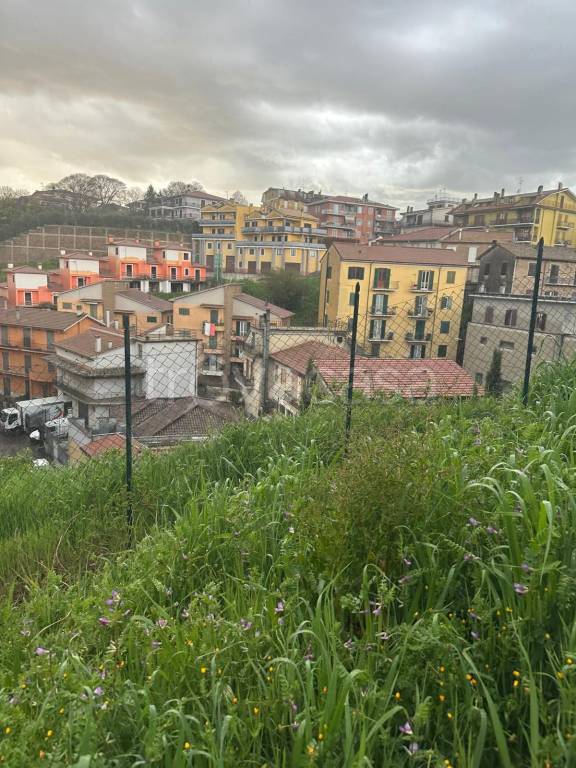 immagine annuncio 4 di 7