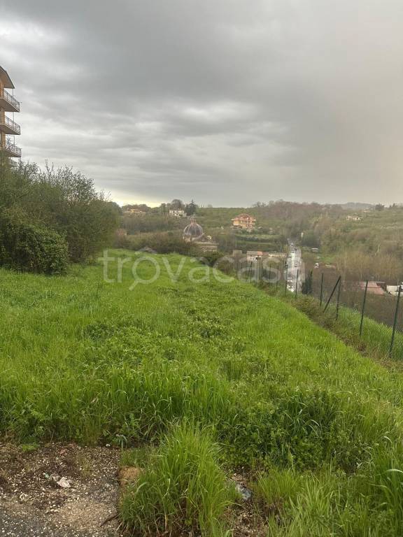 immagine annuncio 5 di 7