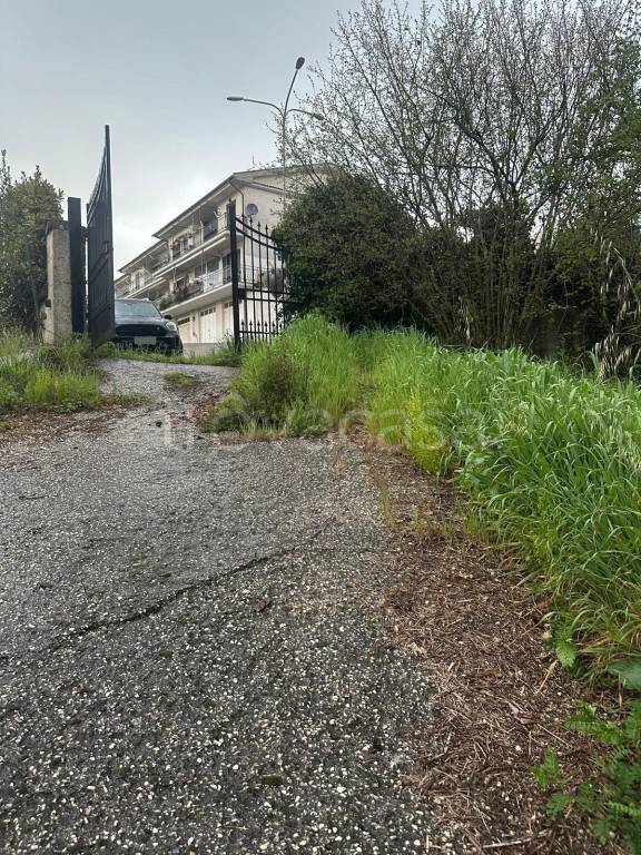 immagine annuncio 6 di 7