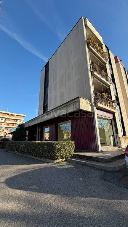 immagine annuncio 4 di 14