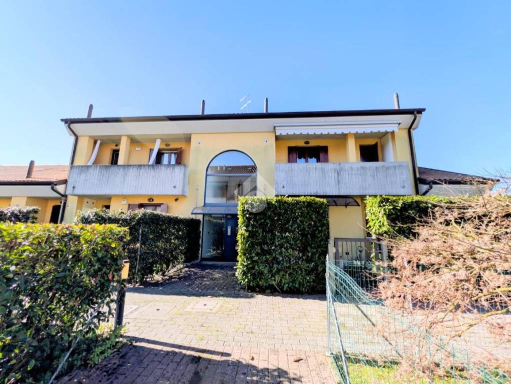 immagine annuncio 12 di 13