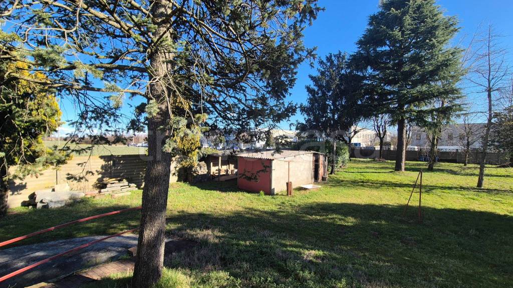 immagine annuncio 12 di 15