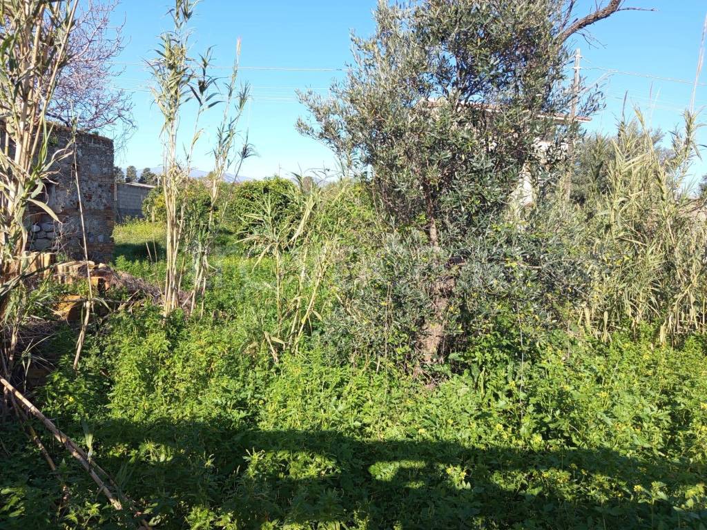 immagine annuncio 5 di 7