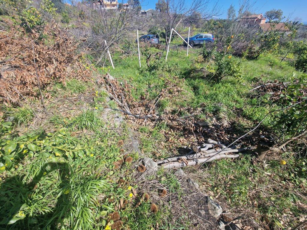 immagine annuncio 13 di 14