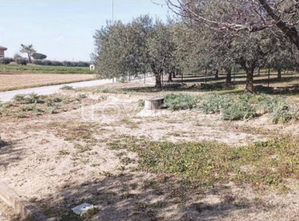 immagine annuncio 4 di 13