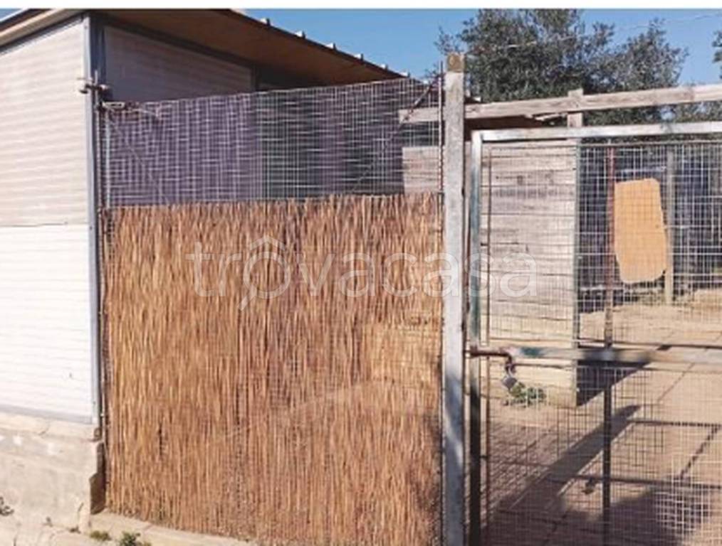 immagine annuncio 9 di 13