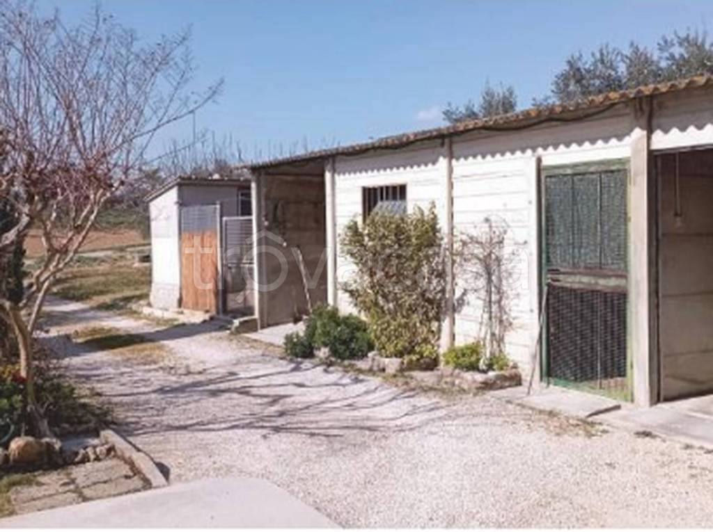 immagine annuncio 10 di 13