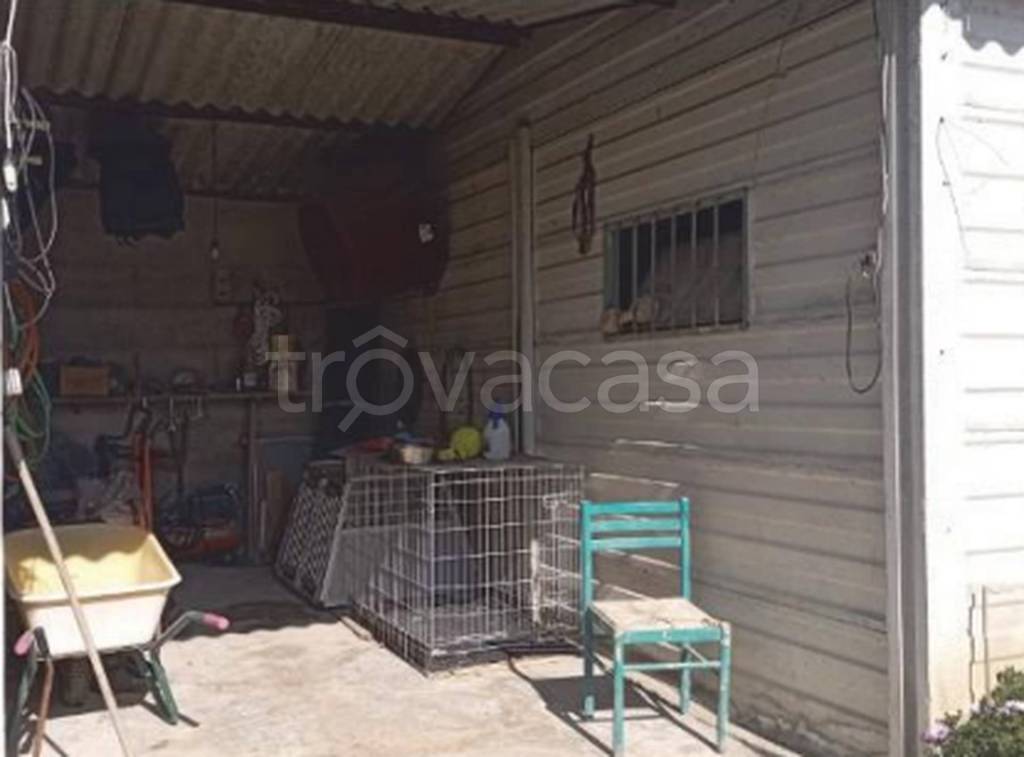 immagine annuncio 11 di 13