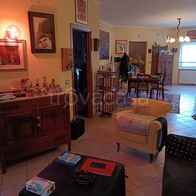 immagine annuncio 9 di 15