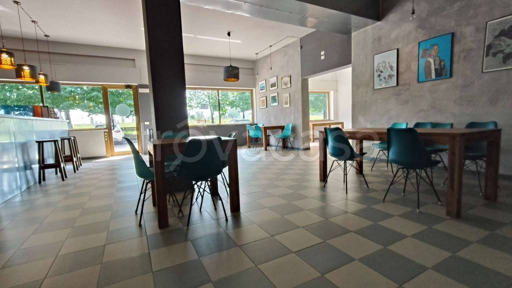 immagine annuncio 9 di 15