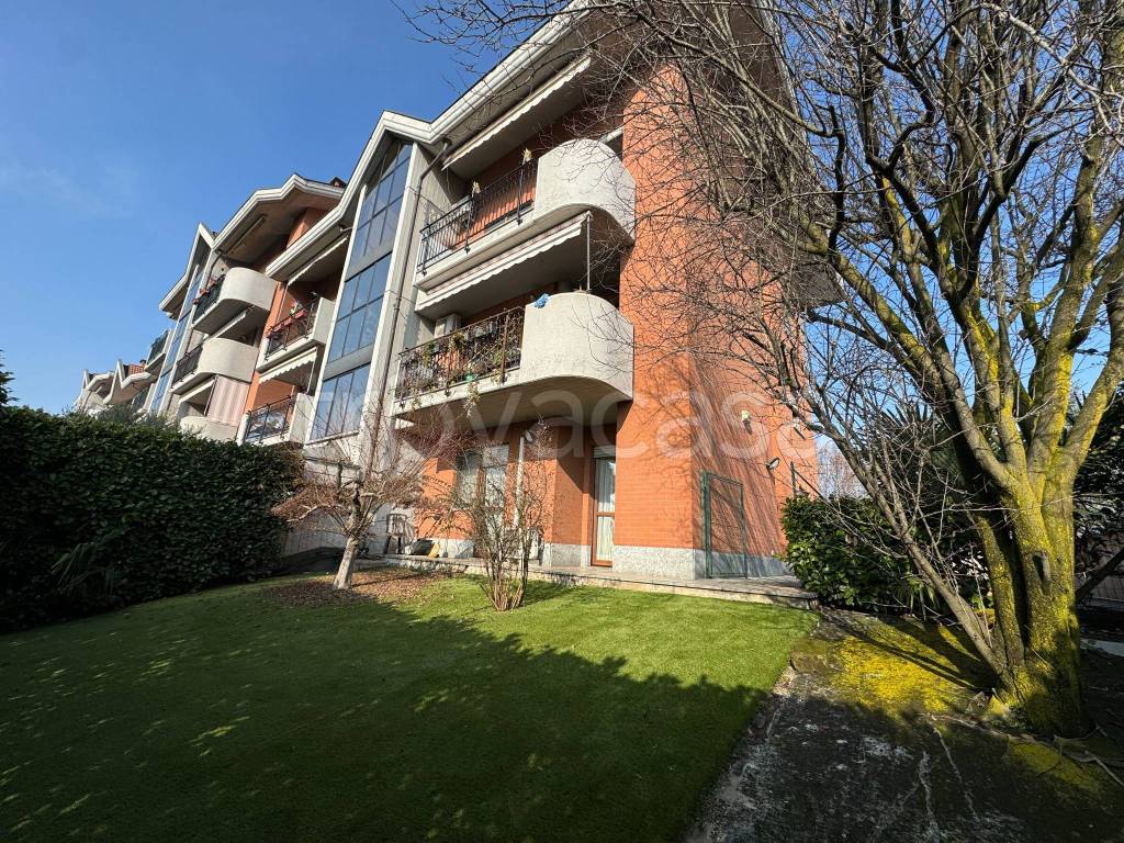 immagine annuncio 12 di 15