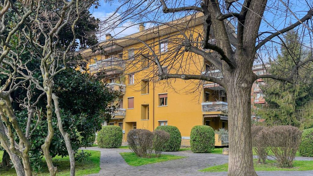 immagine annuncio 5 di 15