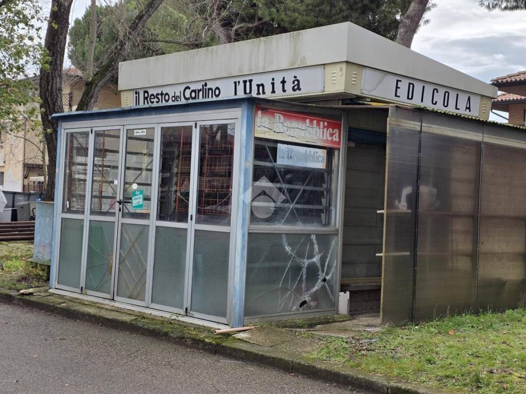 immagine annuncio 2 di 12