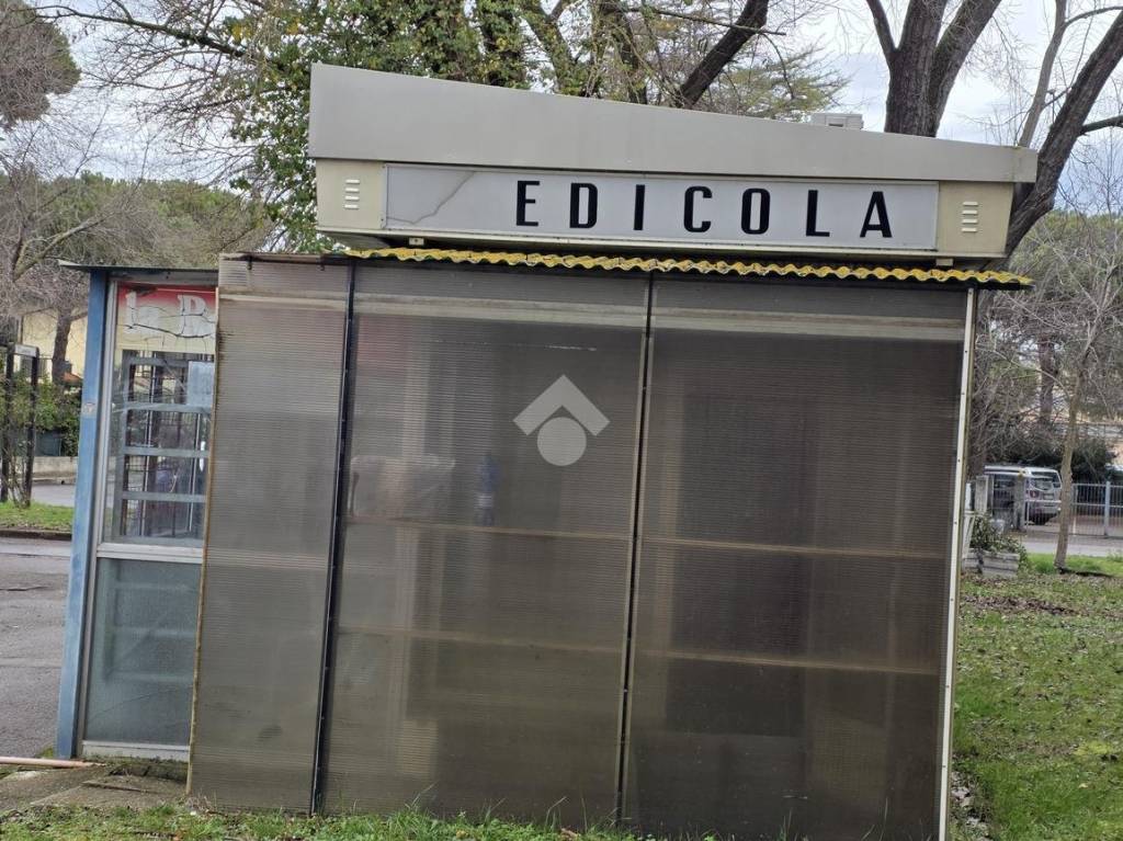 immagine annuncio 5 di 12