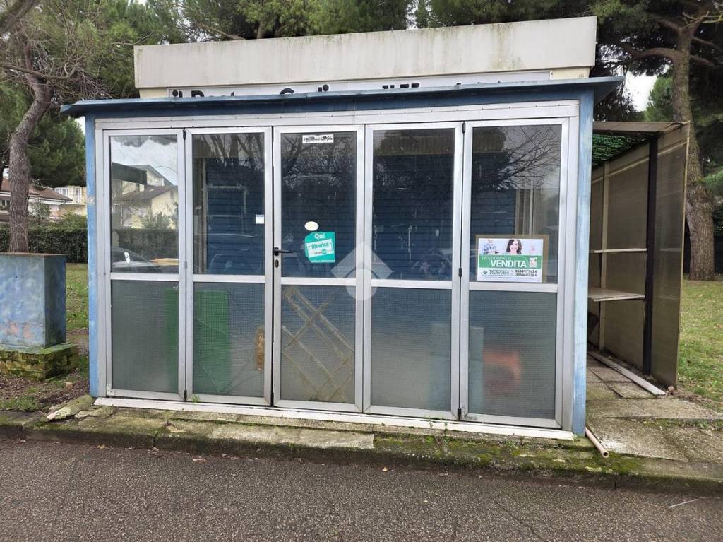 immagine annuncio 6 di 12