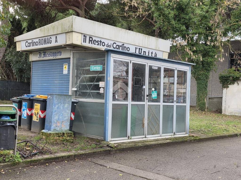 immagine annuncio 7 di 12