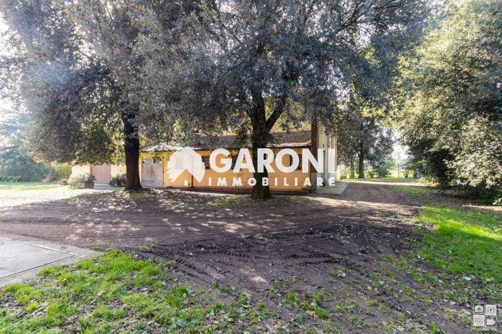 immagine annuncio 6 di 15