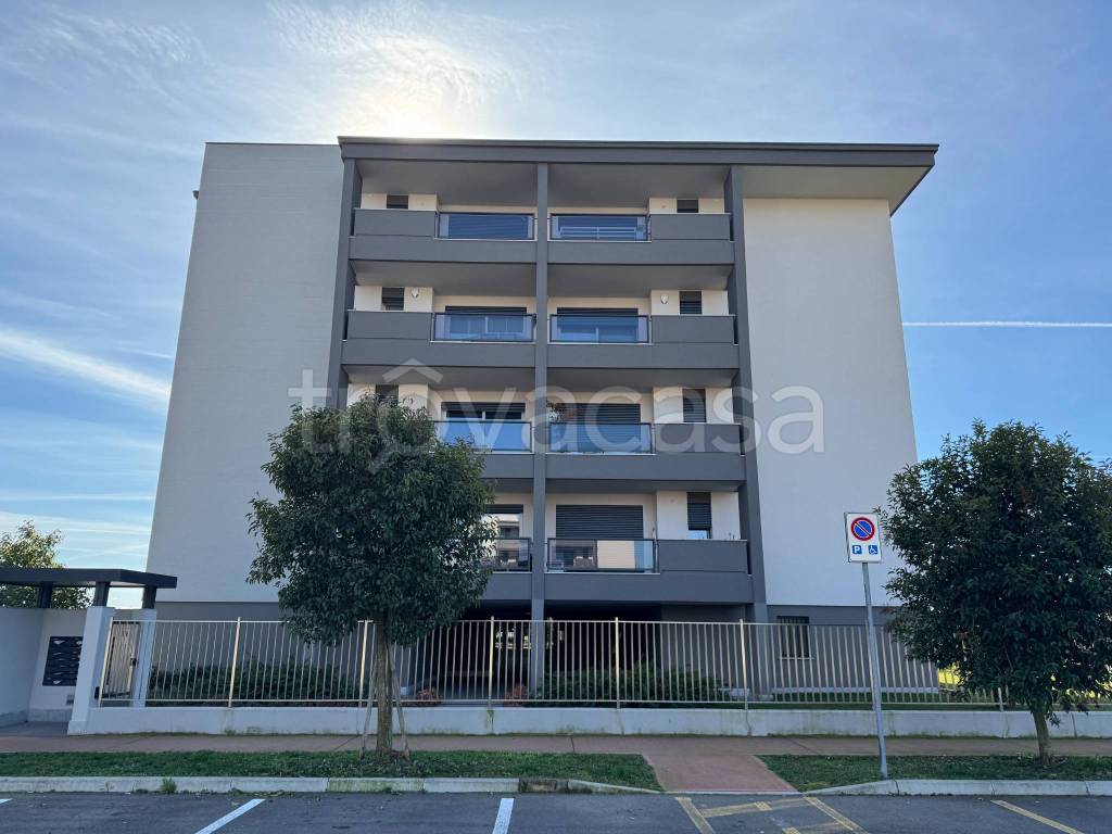 immagine annuncio 2 di 14