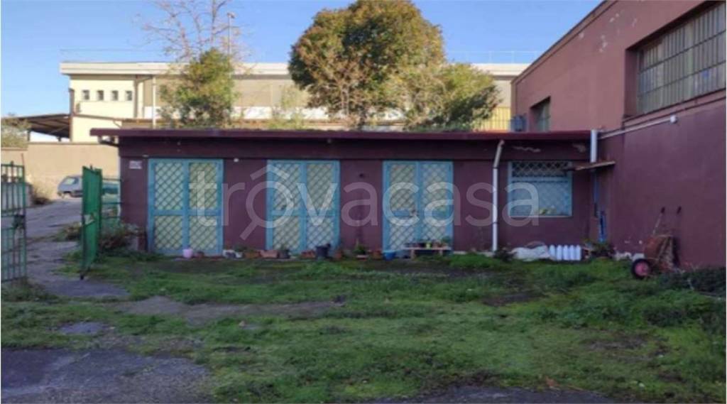 immagine annuncio 1 di 9