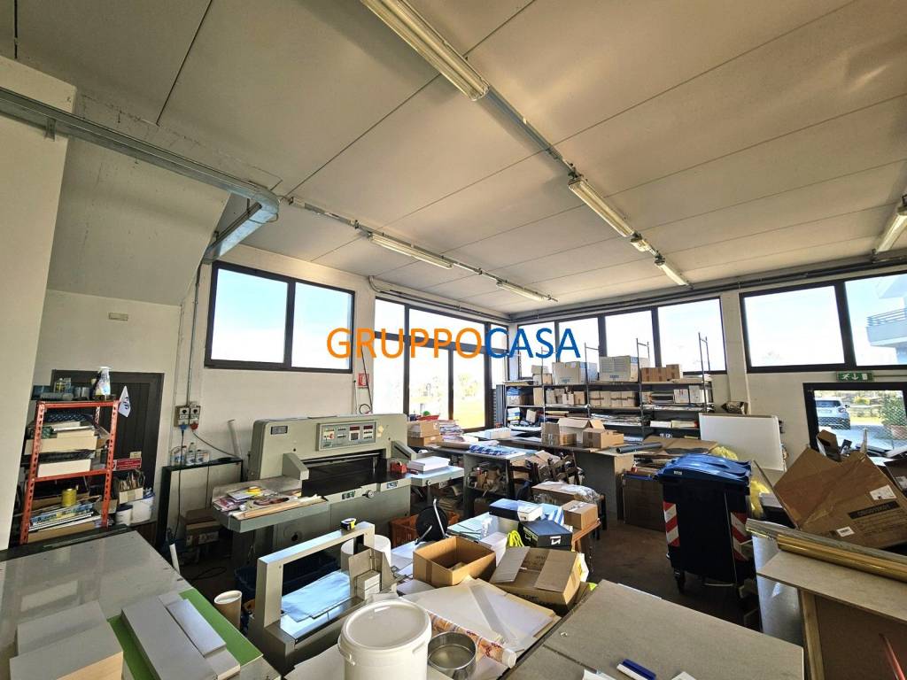 immagine annuncio 11 di 14