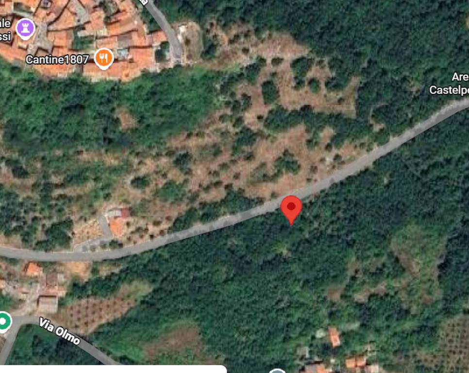 immagine annuncio 6 di 12