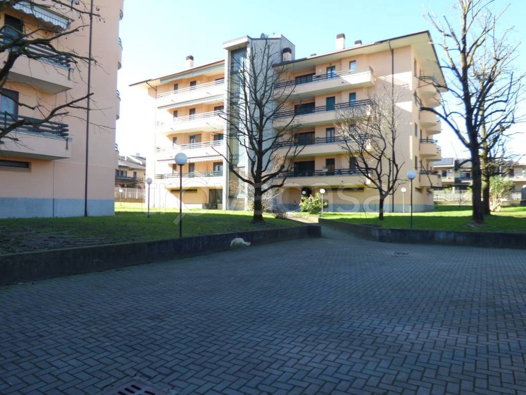 immagine annuncio 4 di 15