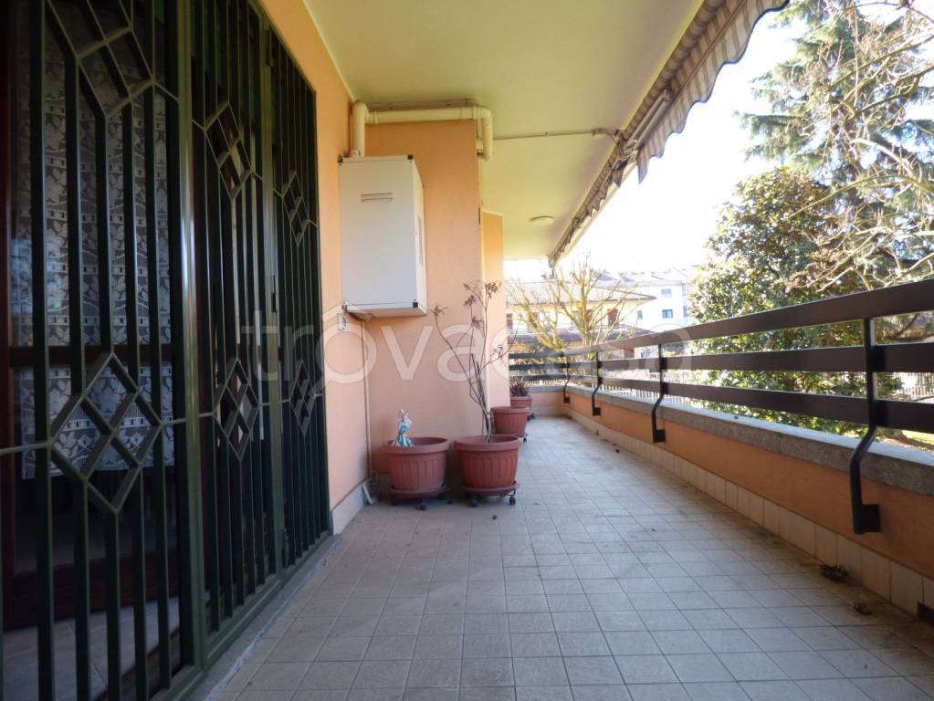 immagine annuncio 9 di 15