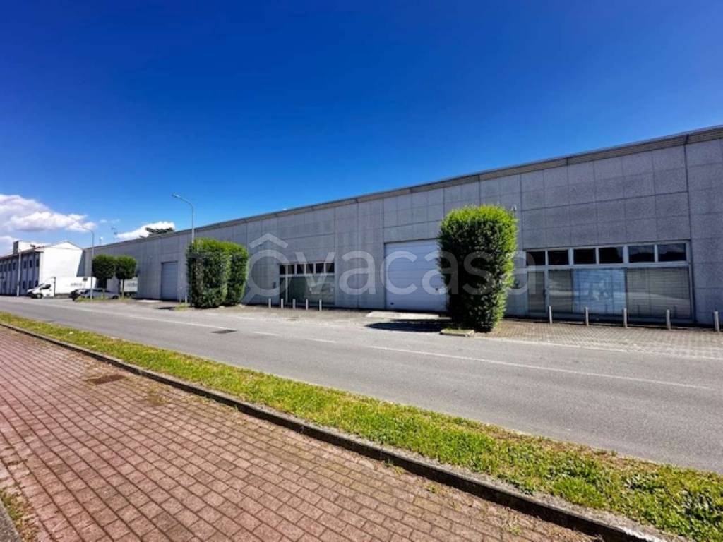 immagine annuncio 6 di 15