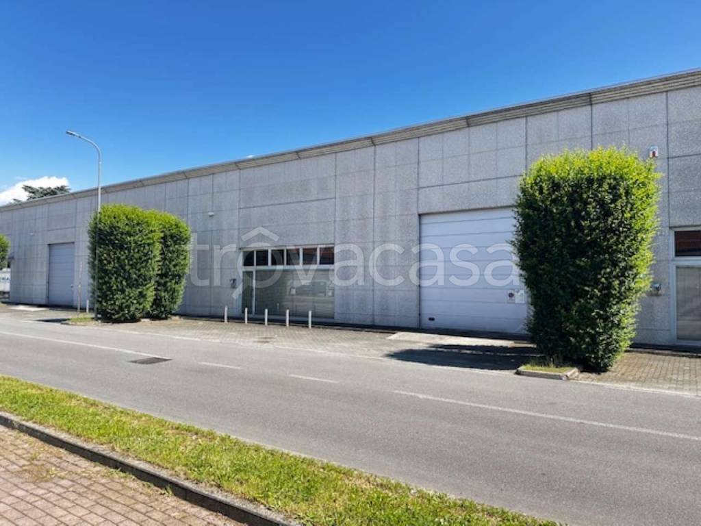 immagine annuncio 8 di 15