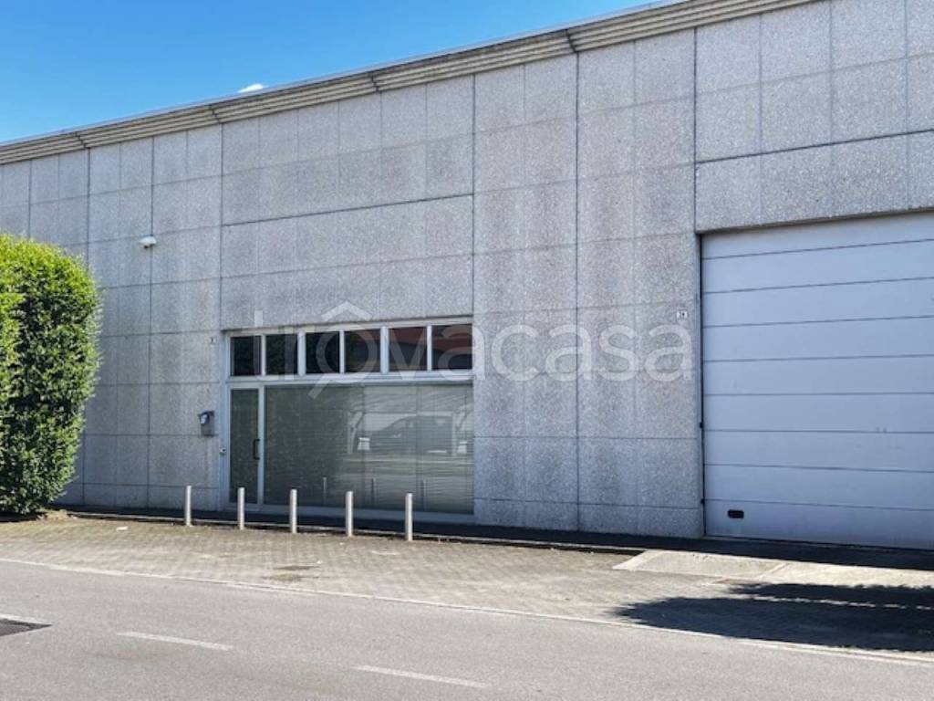 immagine annuncio 9 di 15