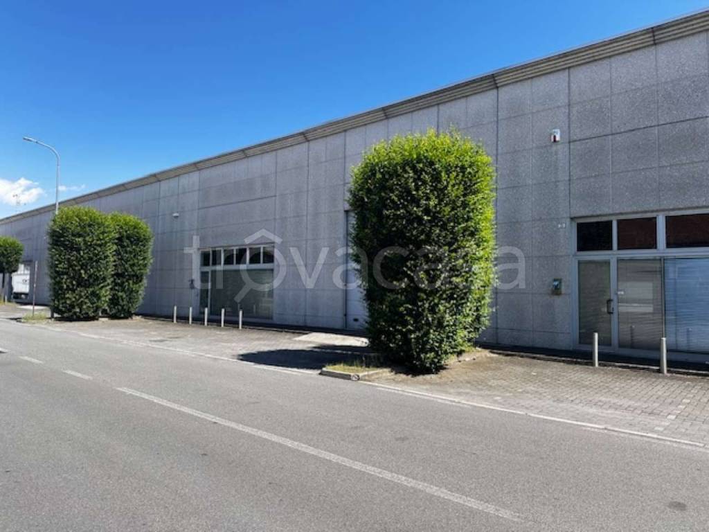 immagine annuncio 12 di 15