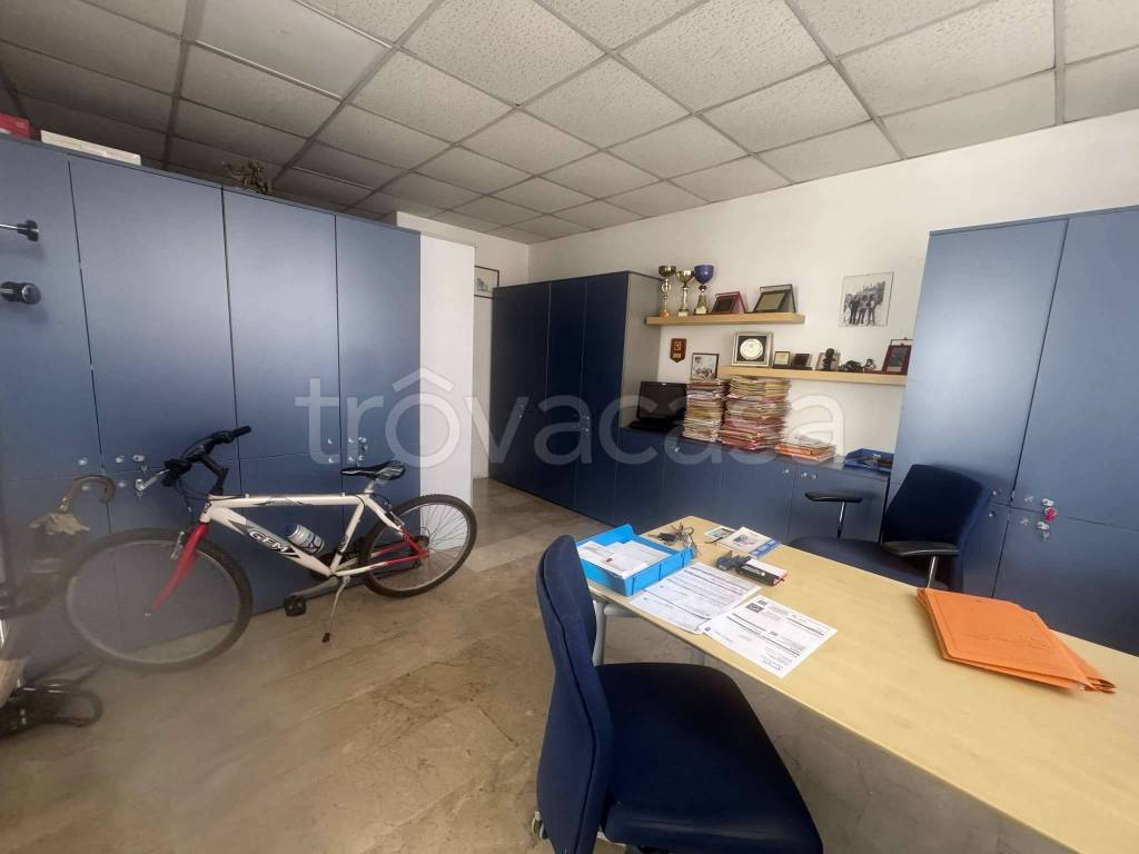 immagine annuncio 9 di 14