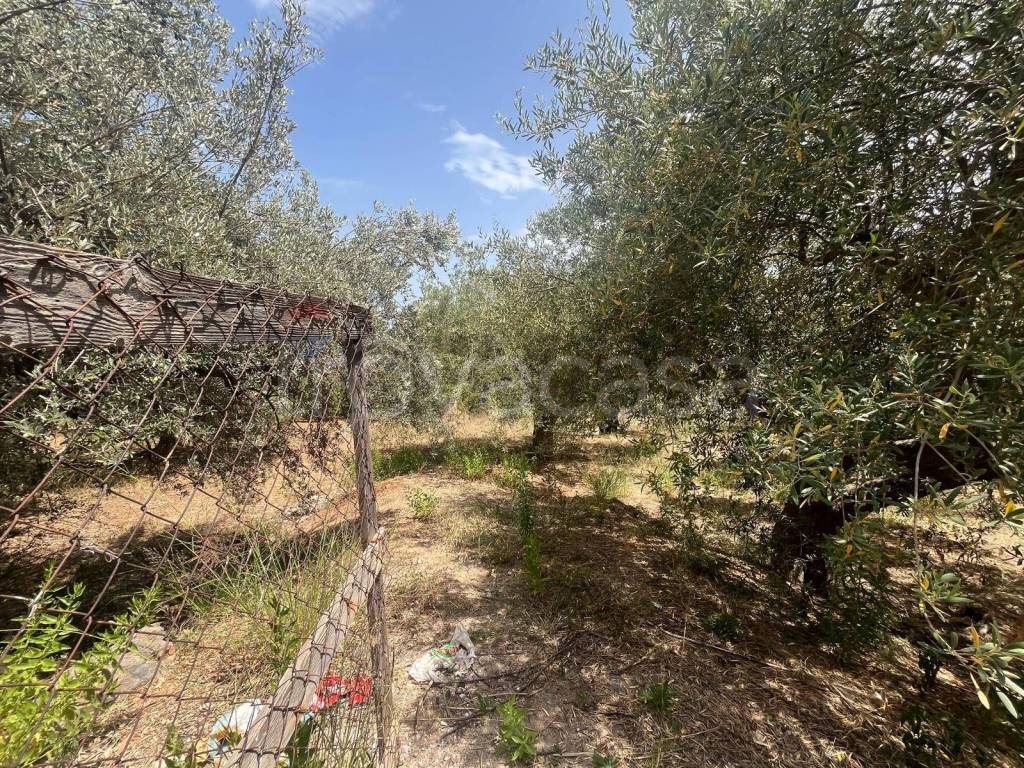 immagine annuncio 10 di 13