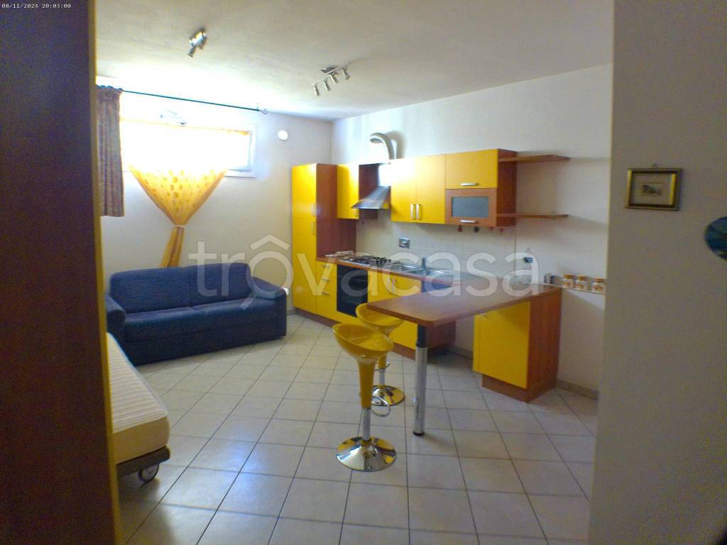 immagine annuncio 12 di 15