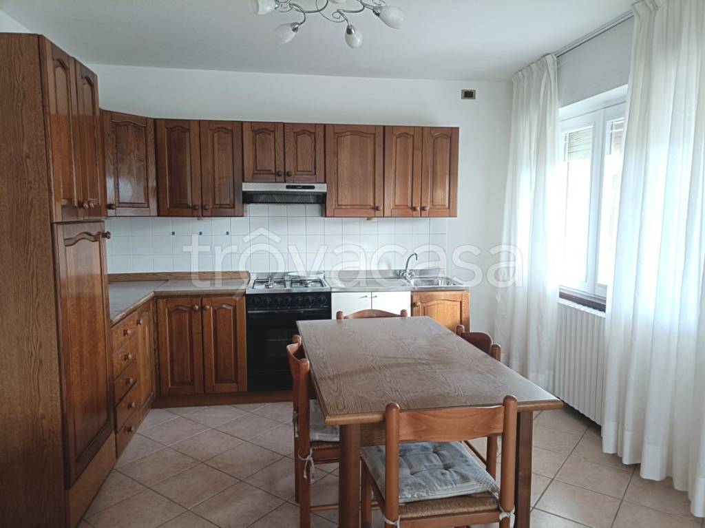 immagine annuncio 3 di 14