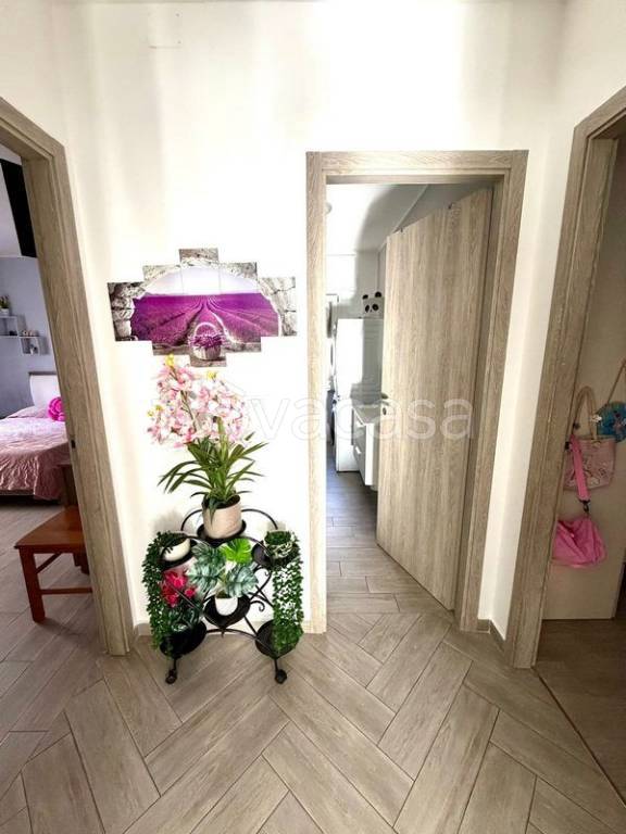 immagine annuncio 6 di 14