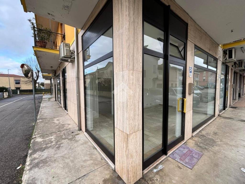 immagine annuncio 13 di 14