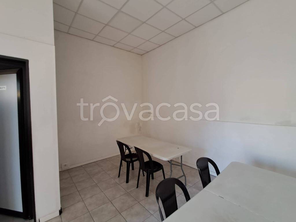 immagine annuncio 4 di 14