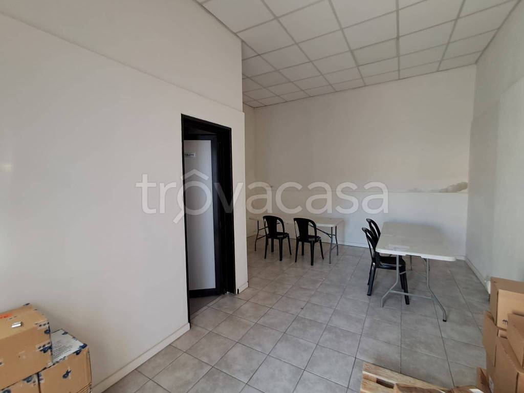 immagine annuncio 5 di 14