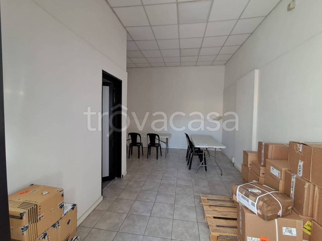 immagine annuncio 6 di 14